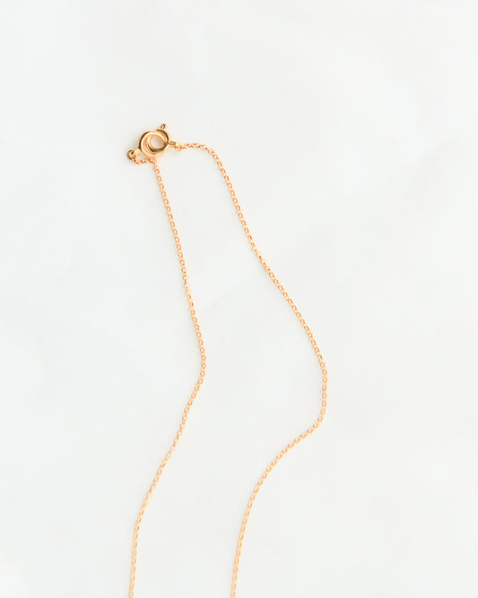 PASO for THIRD PLACE "aru-n06"